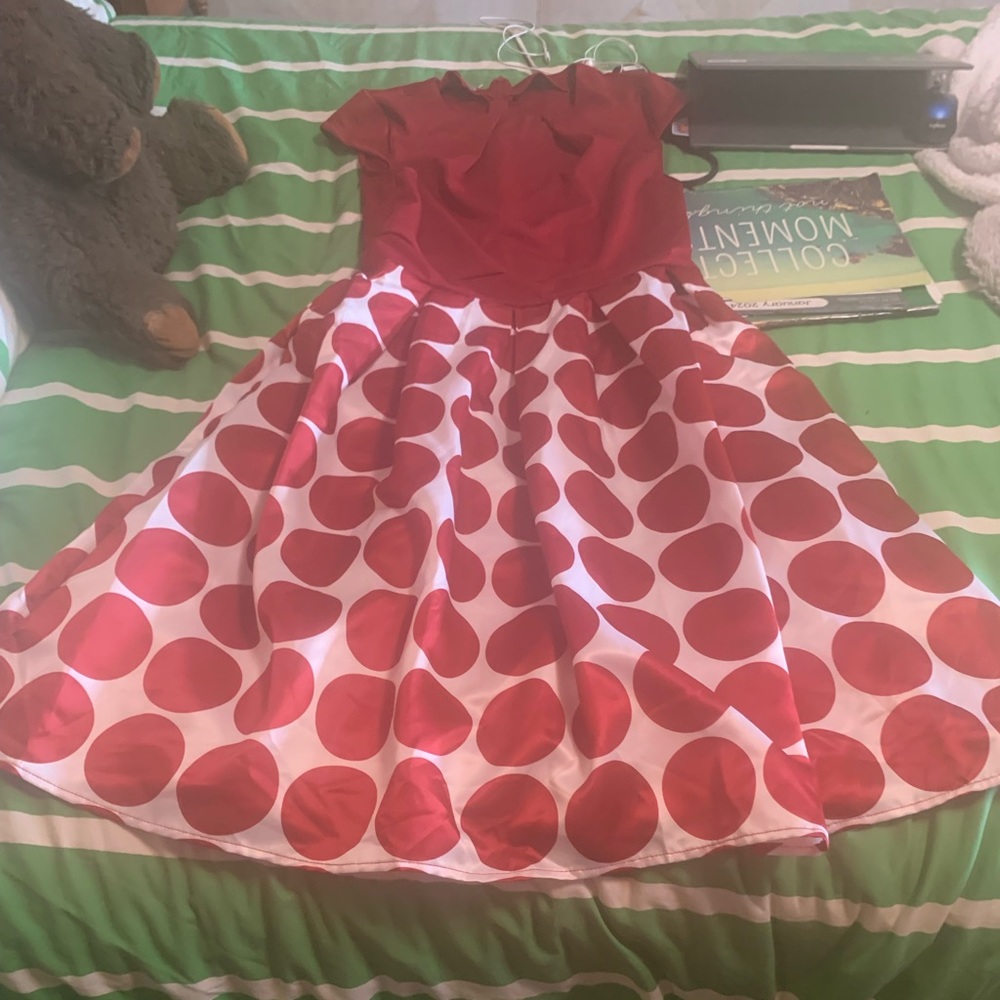 NWOT beautiful old style dress